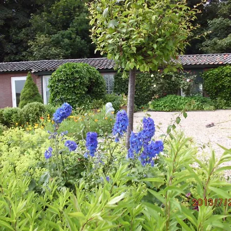 Ferienhaus Comfortable Cottage By The Beach In Egmond *