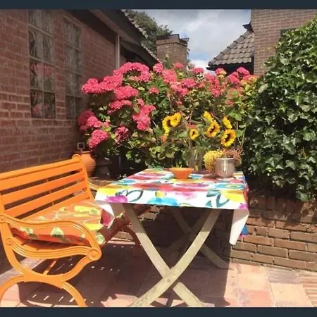 Comfortable Cottage By The Beach In Egmond * Rinnegom