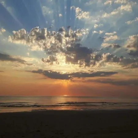 Comfortable By The In Egmond Rinnegom