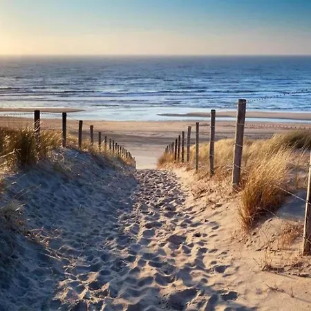 Comfortable By The In Egmond