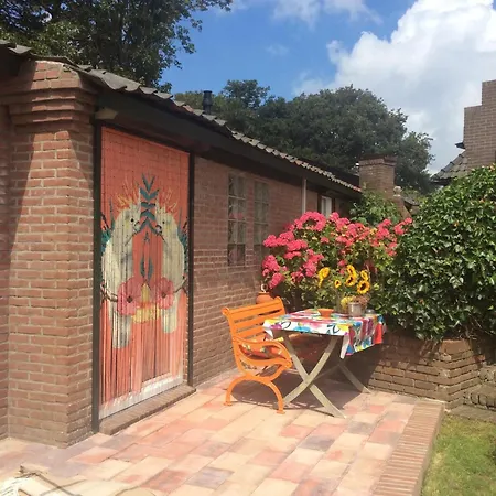 Tranquil Egmond Hideaway